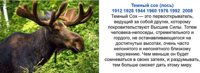 Год Темного Лося 2024 по славянскому календарю